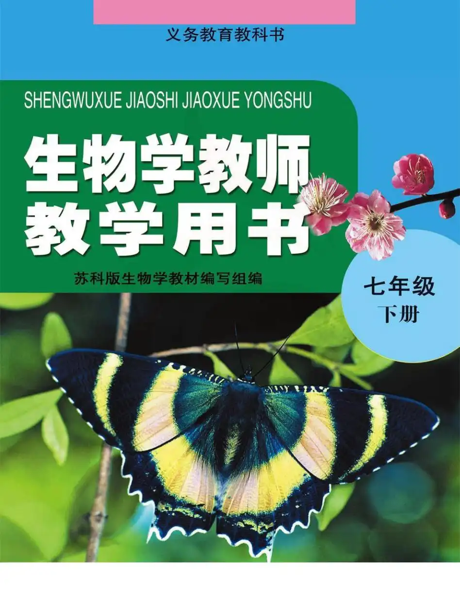 暂无预览