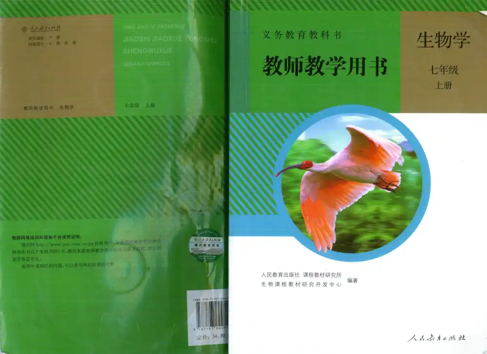 暂无预览