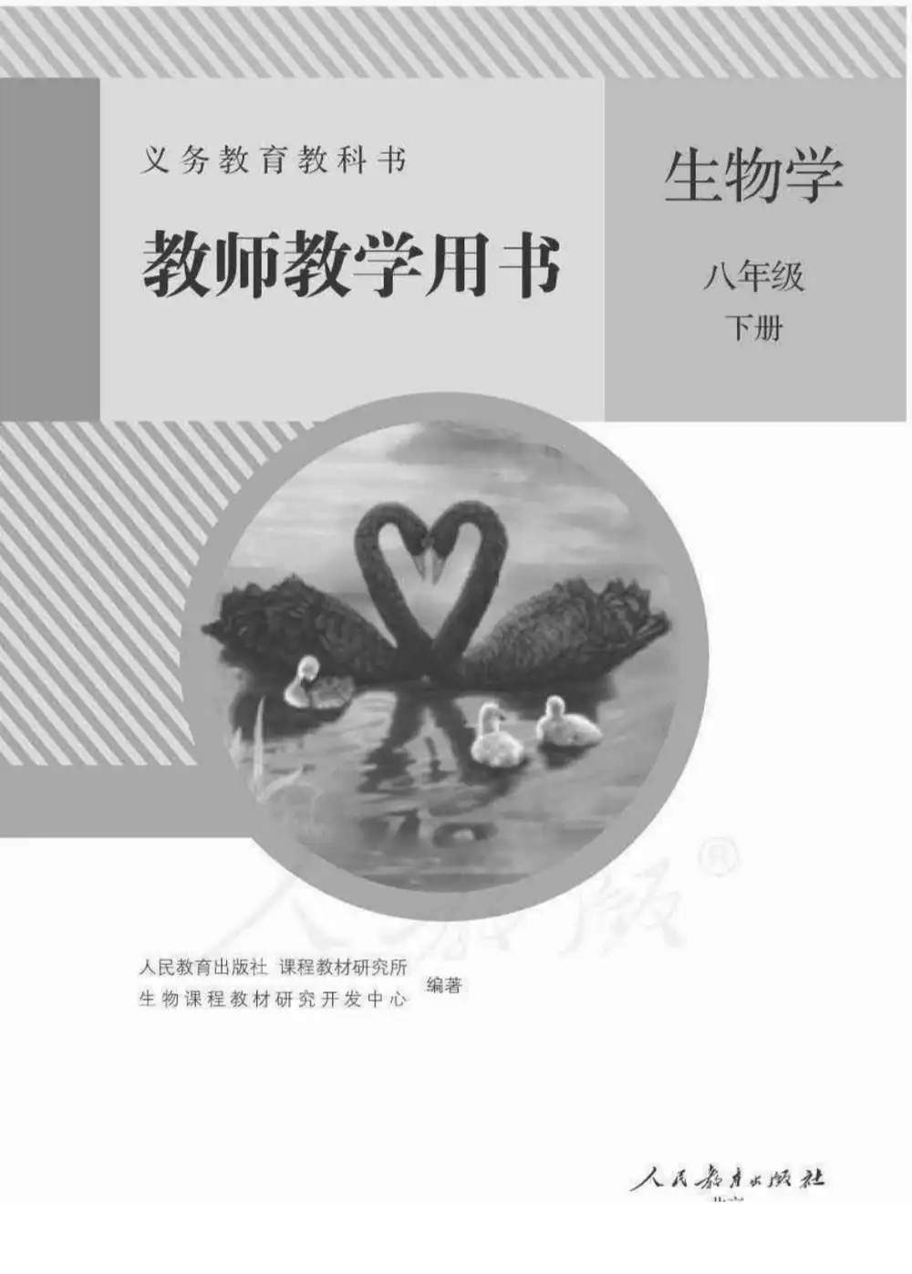 暂无预览