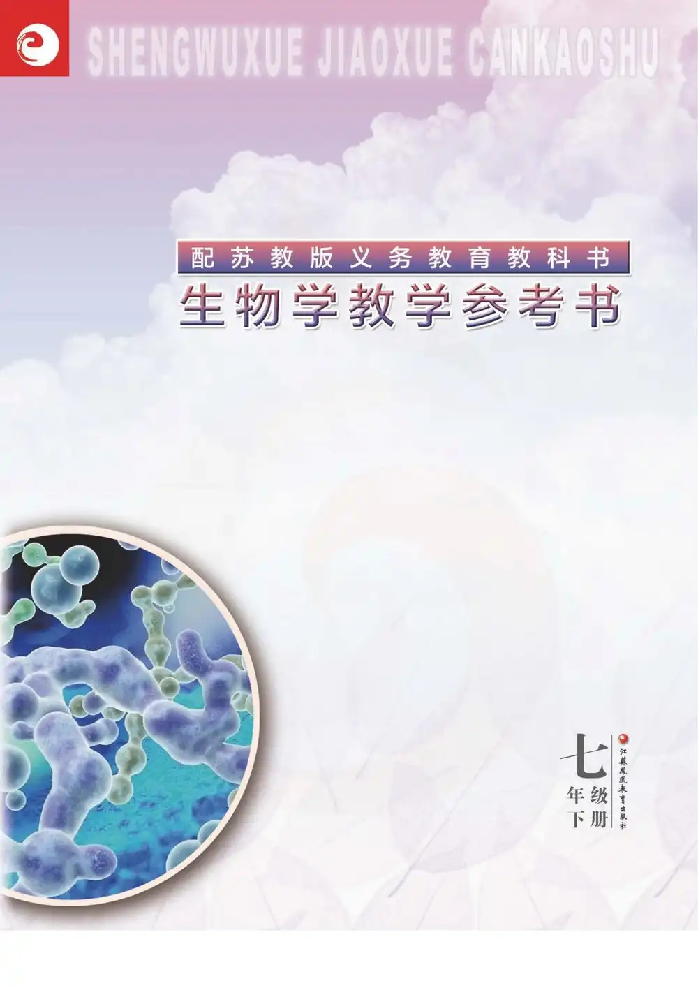 暂无预览