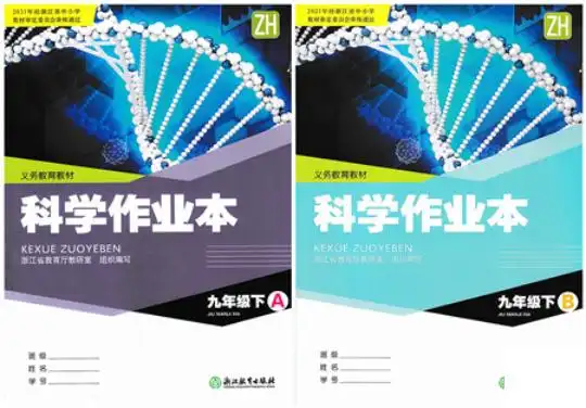 暂无预览