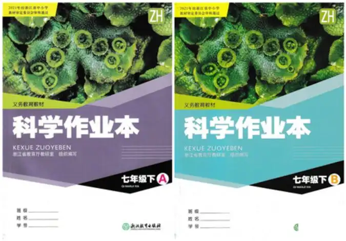 暂无预览