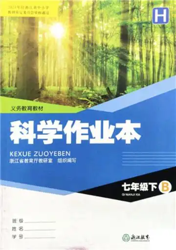 暂无预览