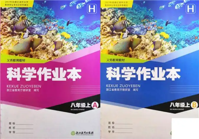 暂无预览