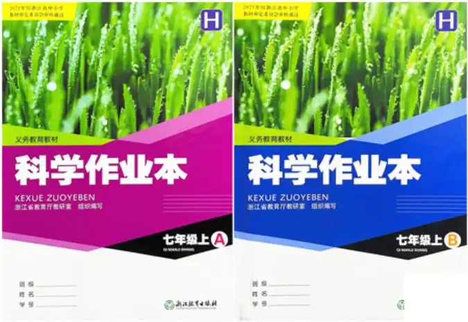 暂无预览