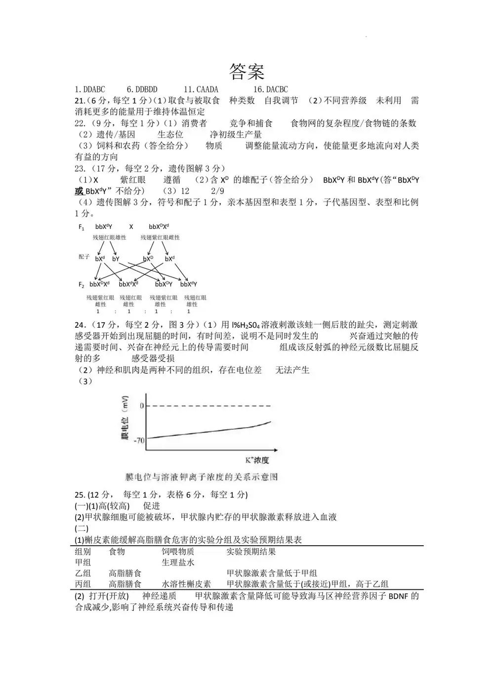 暂无预览