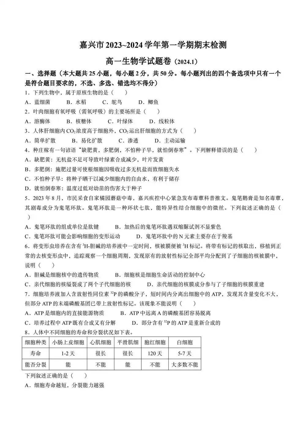 暂无预览