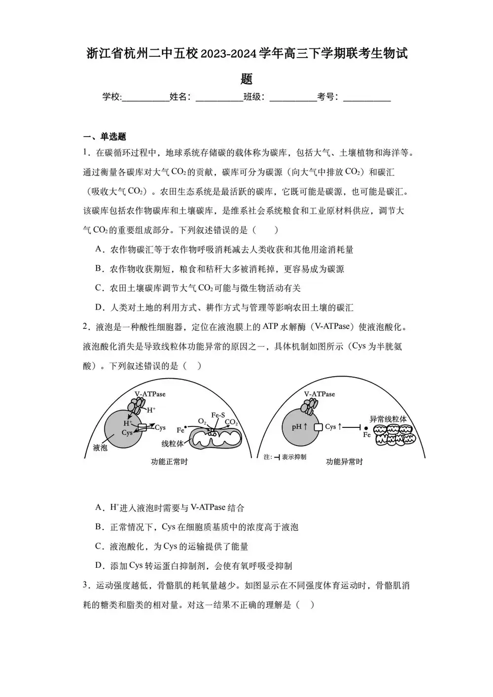 暂无预览