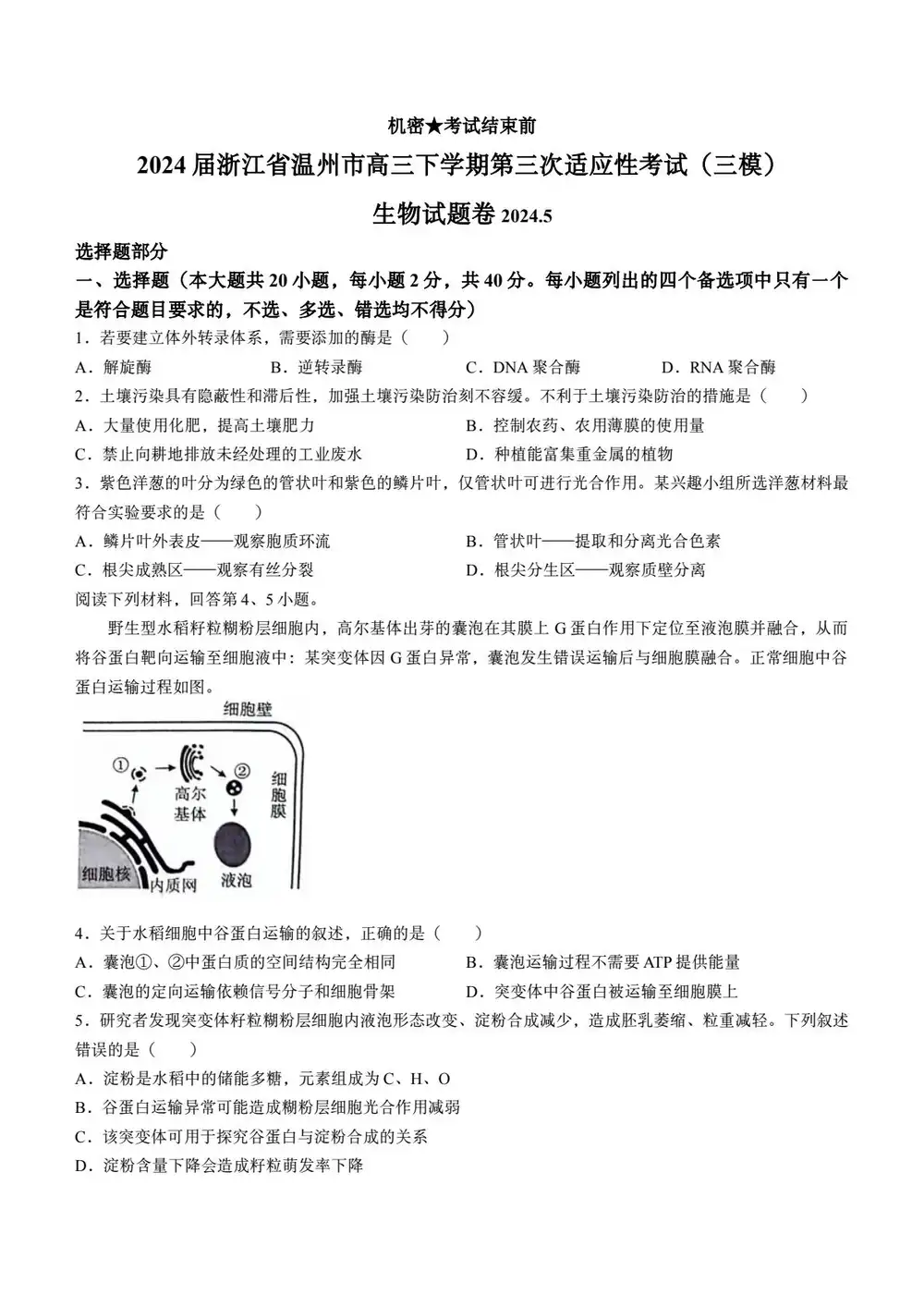 暂无预览