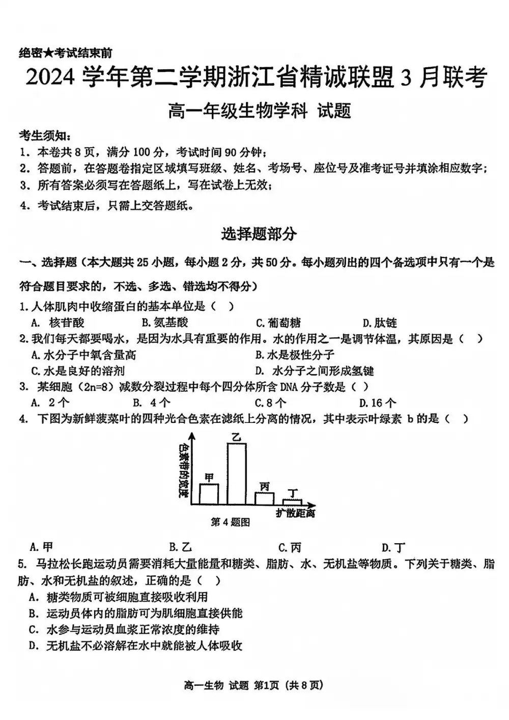 暂无预览